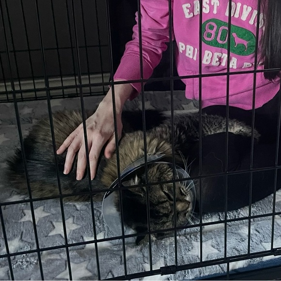 Black and Silver Chandelier Ceiling Medallion - Picture 11 of 15